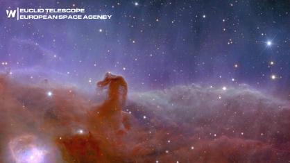 Distant Galaxies Captured by "Euclid" Space Telescope