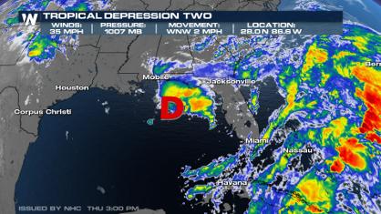Tropical Depression Two Has Formed in the Gulf of Mexico