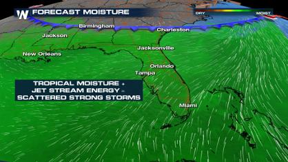 Florida's Active Forecast