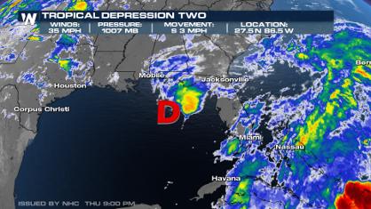 Tropical Depression Two Has Formed in the Gulf of Mexico